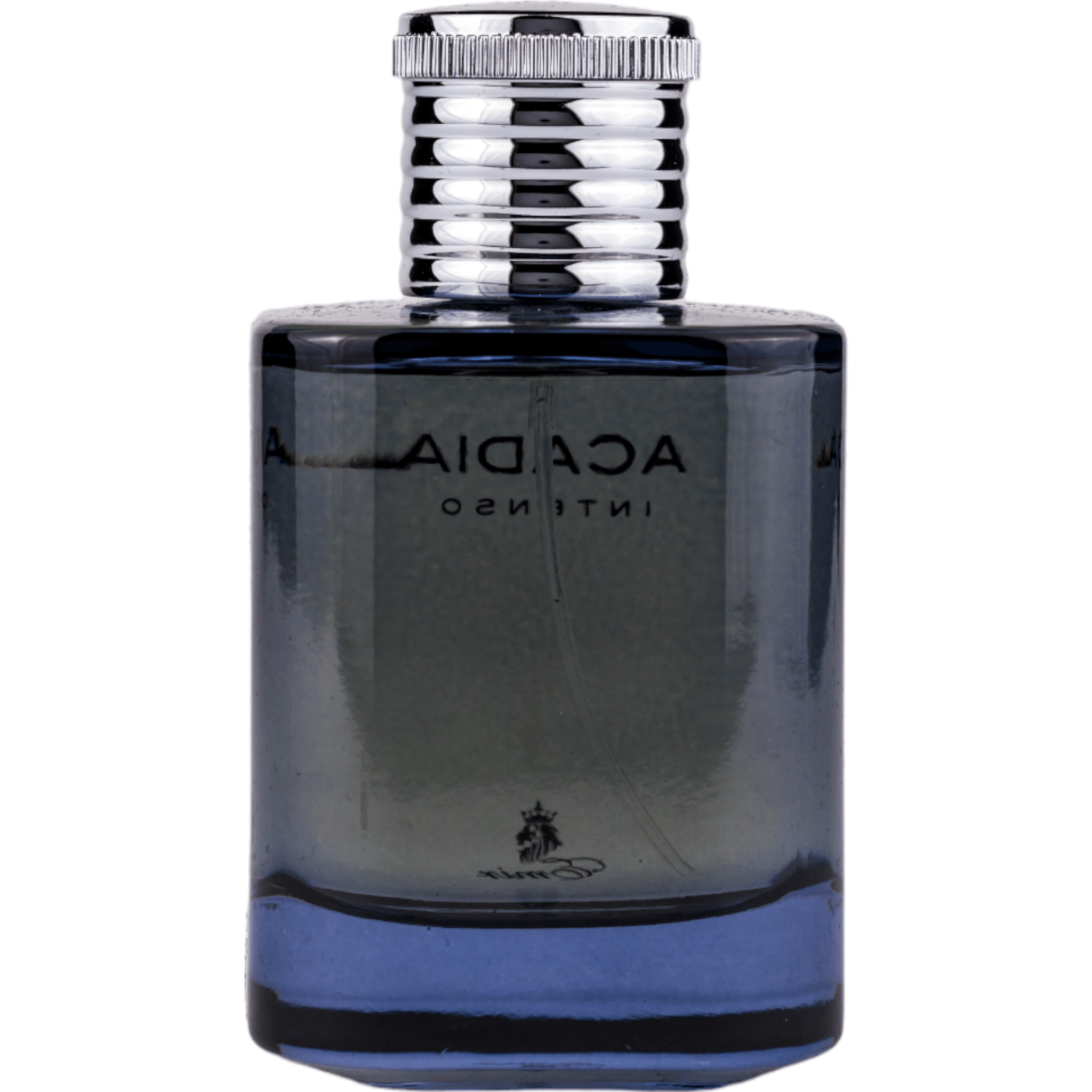 Arabian perfume Emir by Paris Corner Acadia Intenso 100ml Eau de parfum 307687