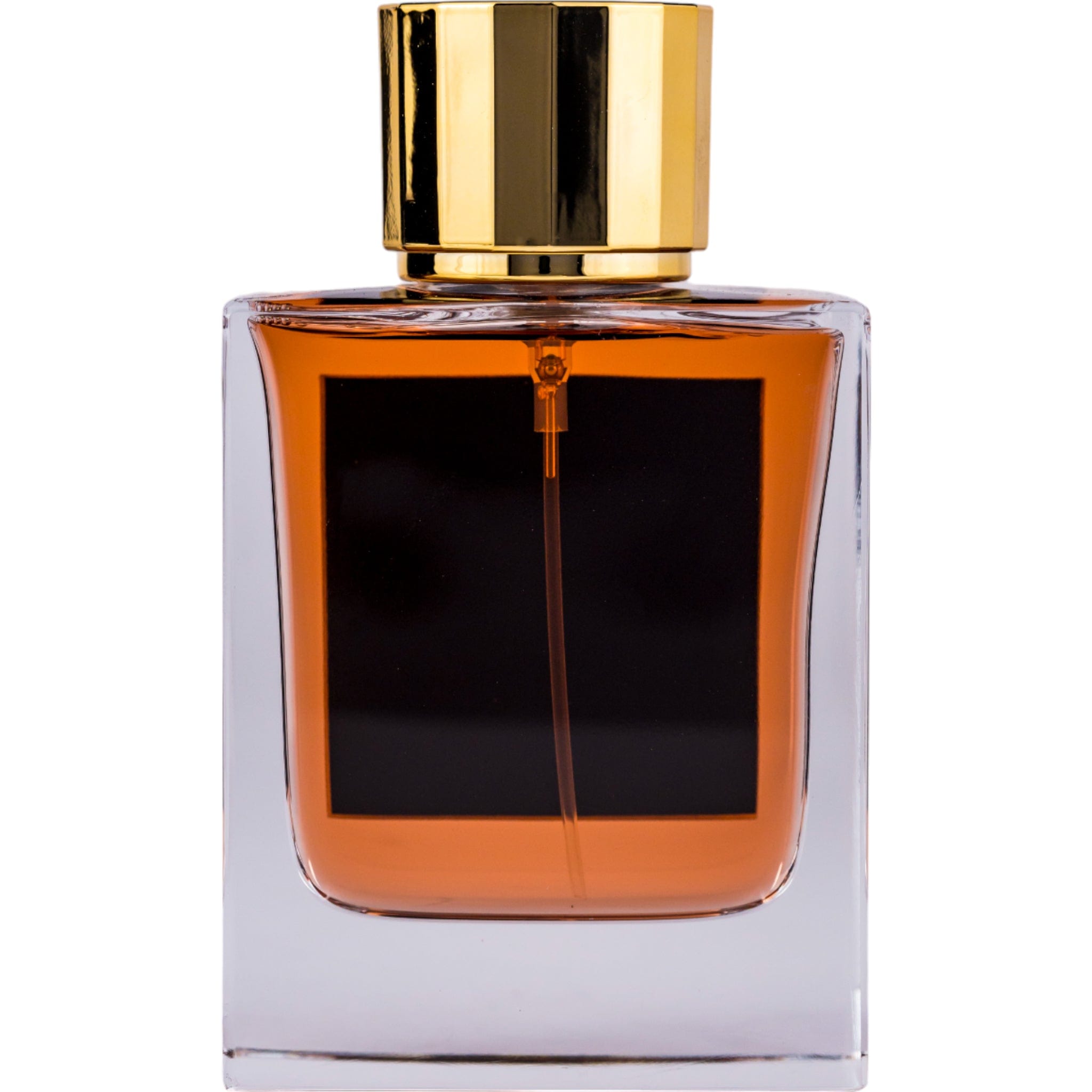 Arabian perfume Ministry of Oud by Paris Corner Amber Oud 100ml Eau de parfum 307521