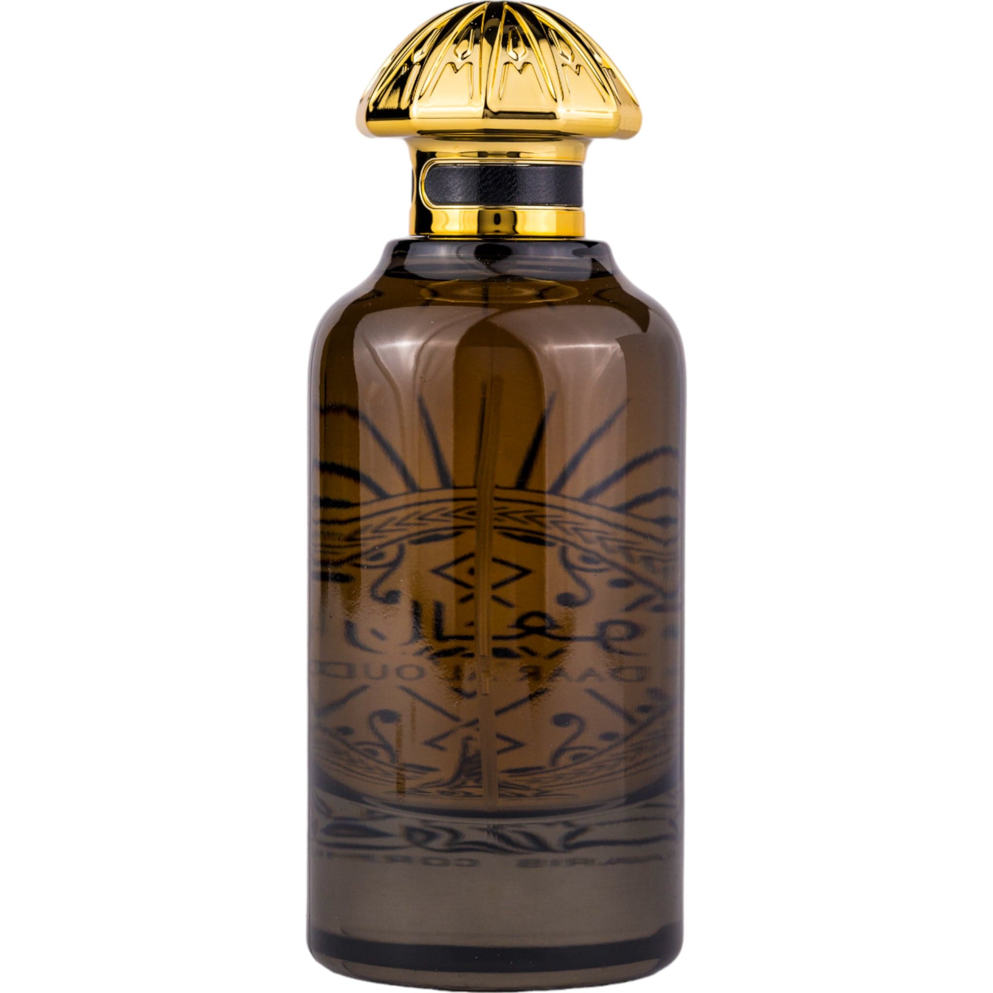 Arabian perfume Paris Corner Daar Al Oud 100ml Eau de parfum 307692