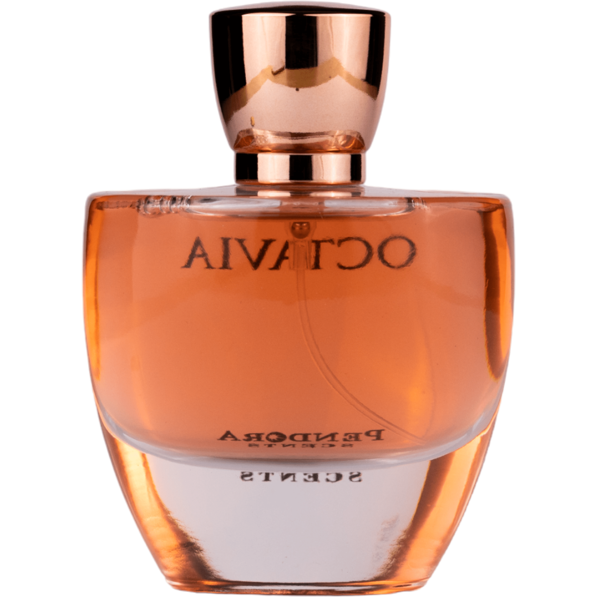Arabian perfume Pendora Scents by Paris Corner Octavia 100ml Eau de parfum 307064
