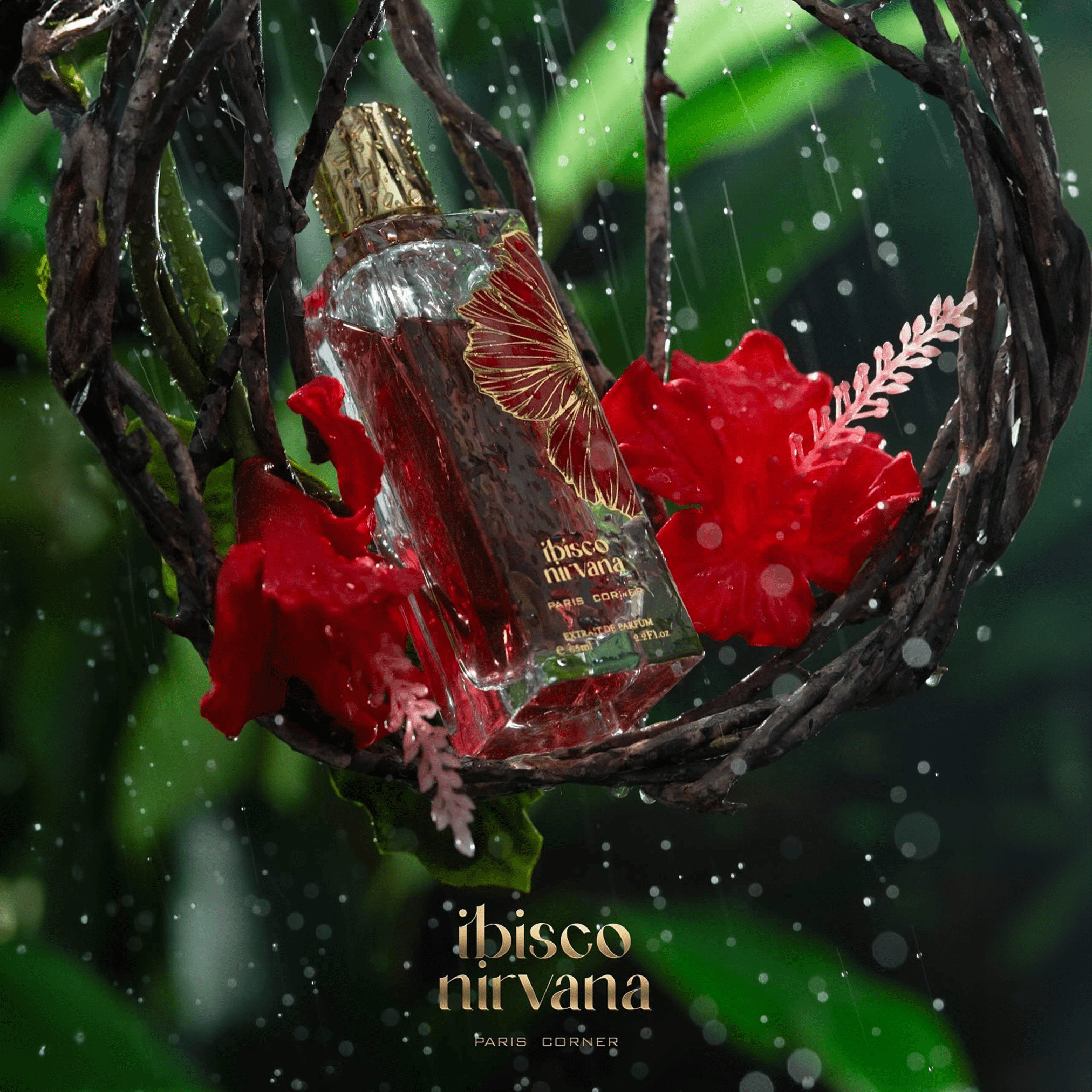Ibisco Nirvana by Paris Corner - Unisex Extrait De Perfume - 65 ml 308468