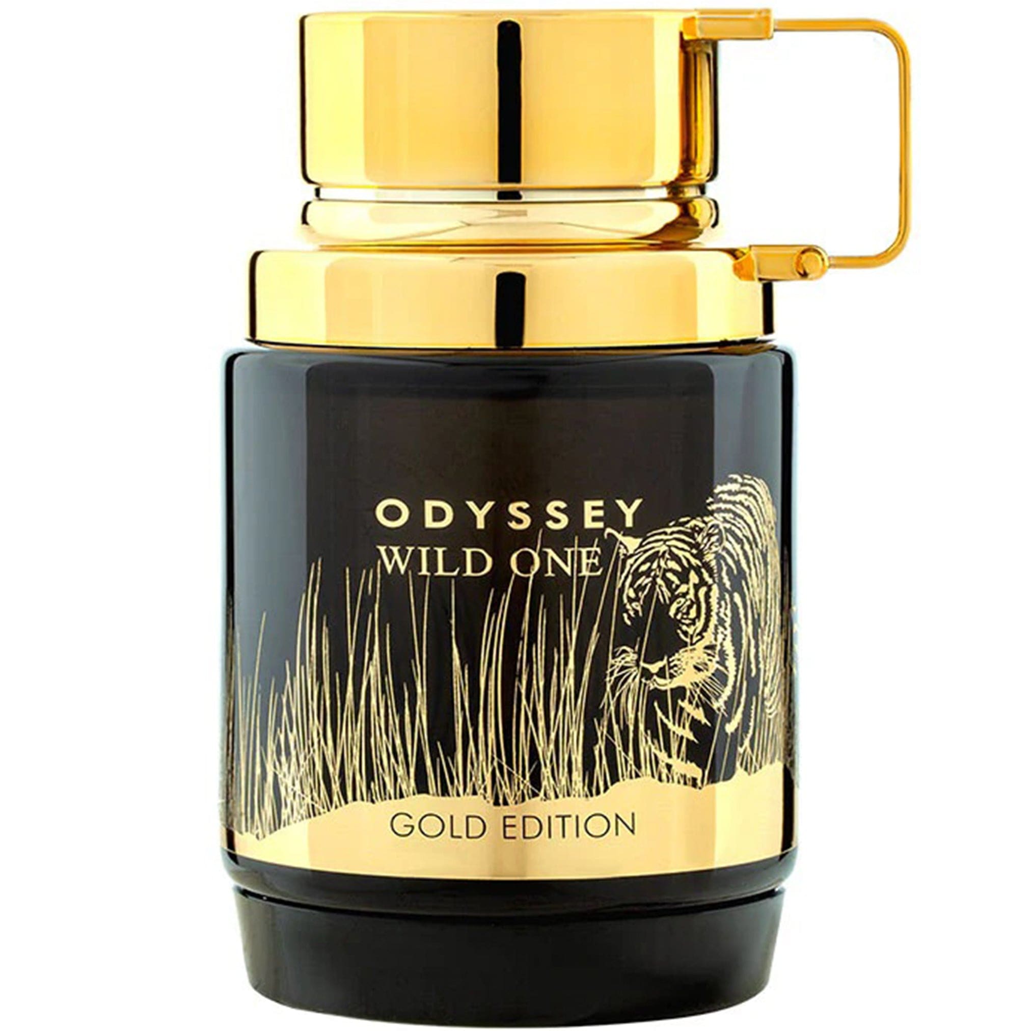 Arabian perfume Armaf Odyssey Wild One 100ml Eau de parfum 307834