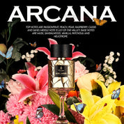 Arabian perfume Emir by Paris Corner Arcana 100ml Eau de parfum 307207