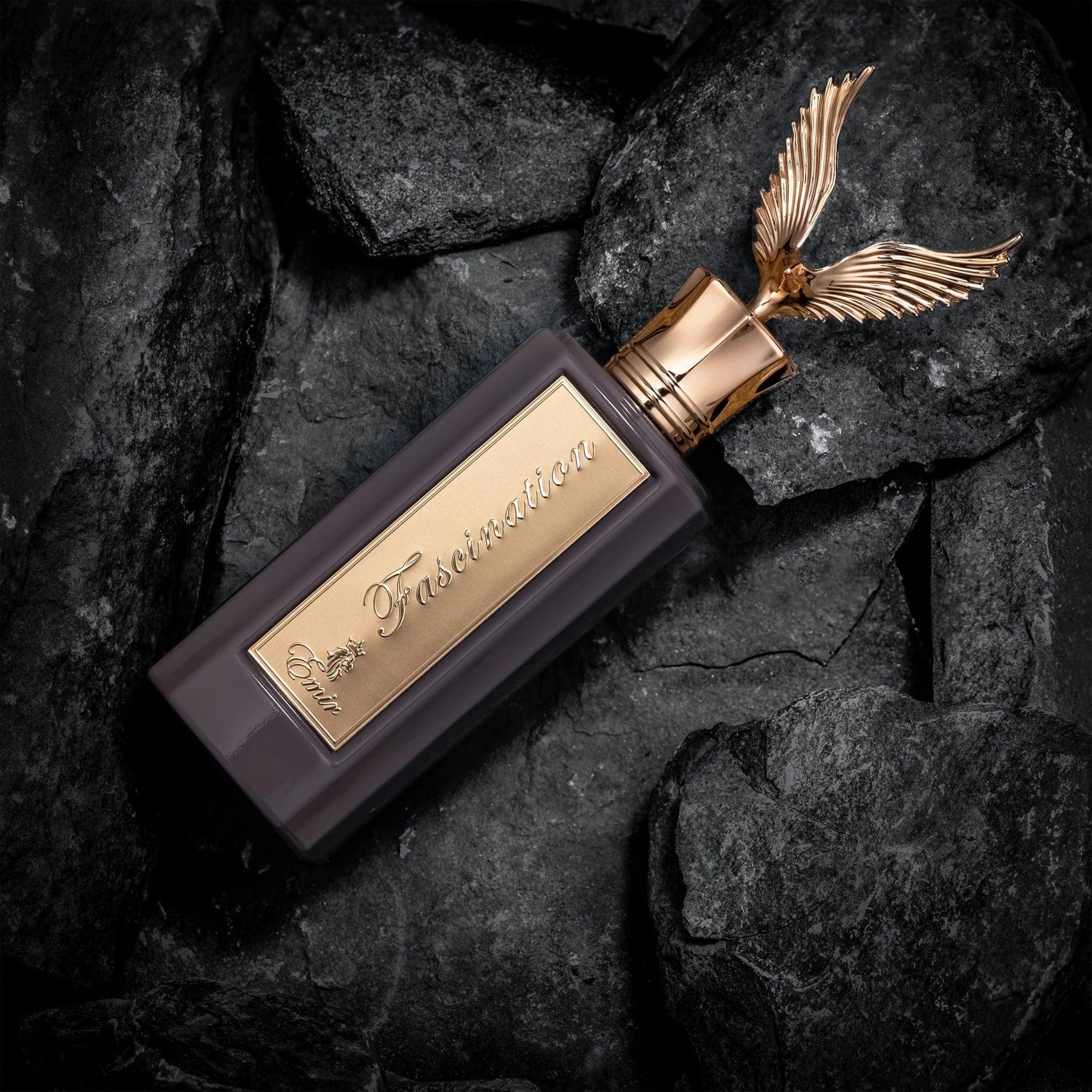 Arabian perfume Emir by Paris Corner Fascination 100ml Eau de parfum 307195