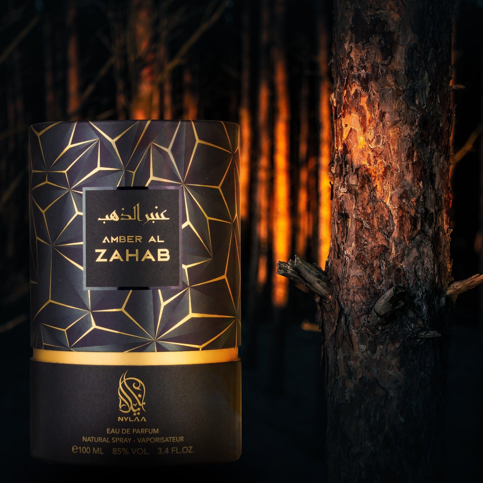 Arabian perfume Nylaa Amber Al Zahab 100ml Eau de parfum 305944