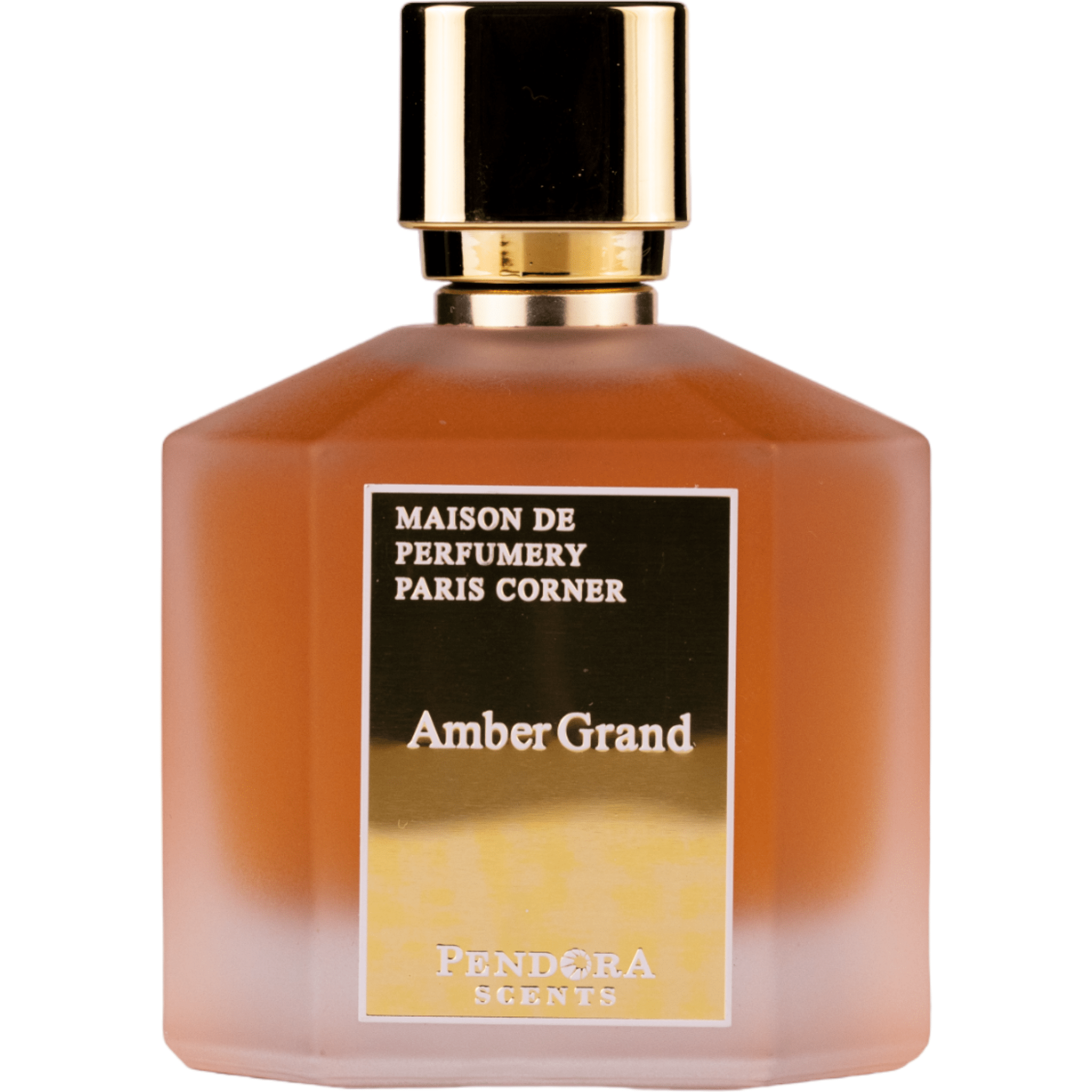 Arabian perfume Pendora Scents by Paris Corner Amber Grand 100ml Eau de parfum 307080