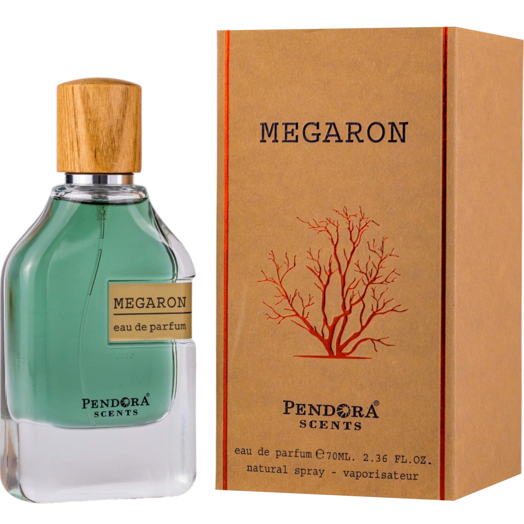 Arabian perfume Pendora Scents by Paris Corner Megaron 70ml Eau de parfum 307594