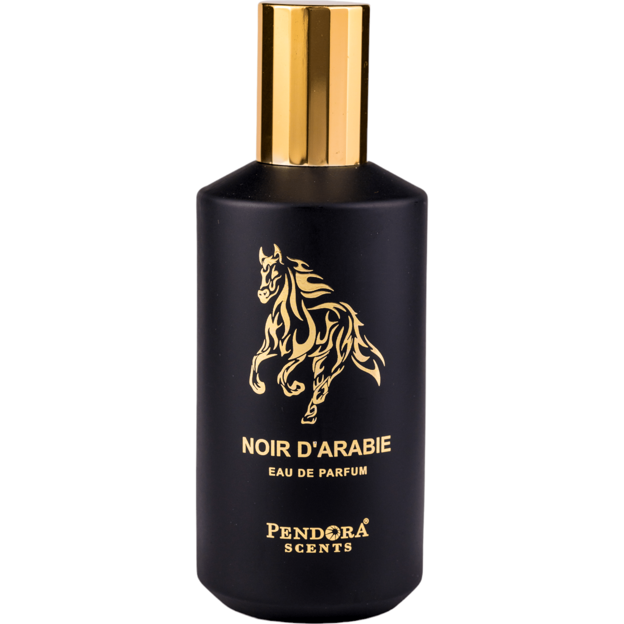 Arabian perfume Pendora Scents by Paris Corner Noir d'Arabie 100ml Eau de parfum 307596