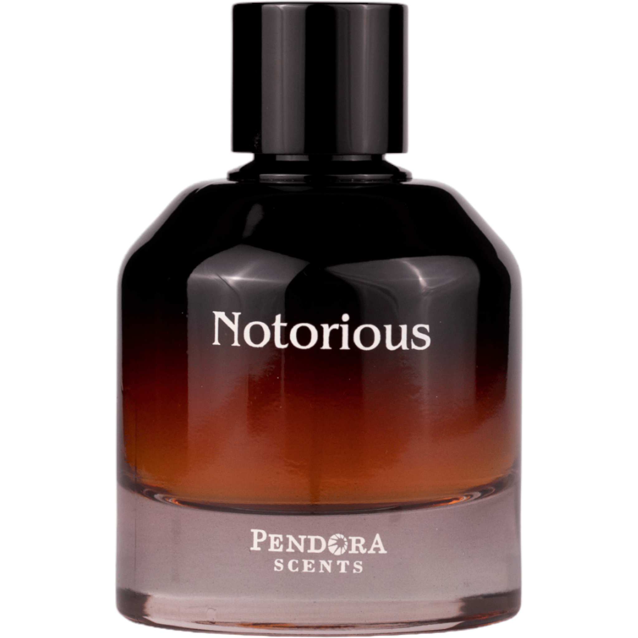 Arabian perfume Pendora Scents by Paris Corner Notorious 100ml Eau de parfum 307056