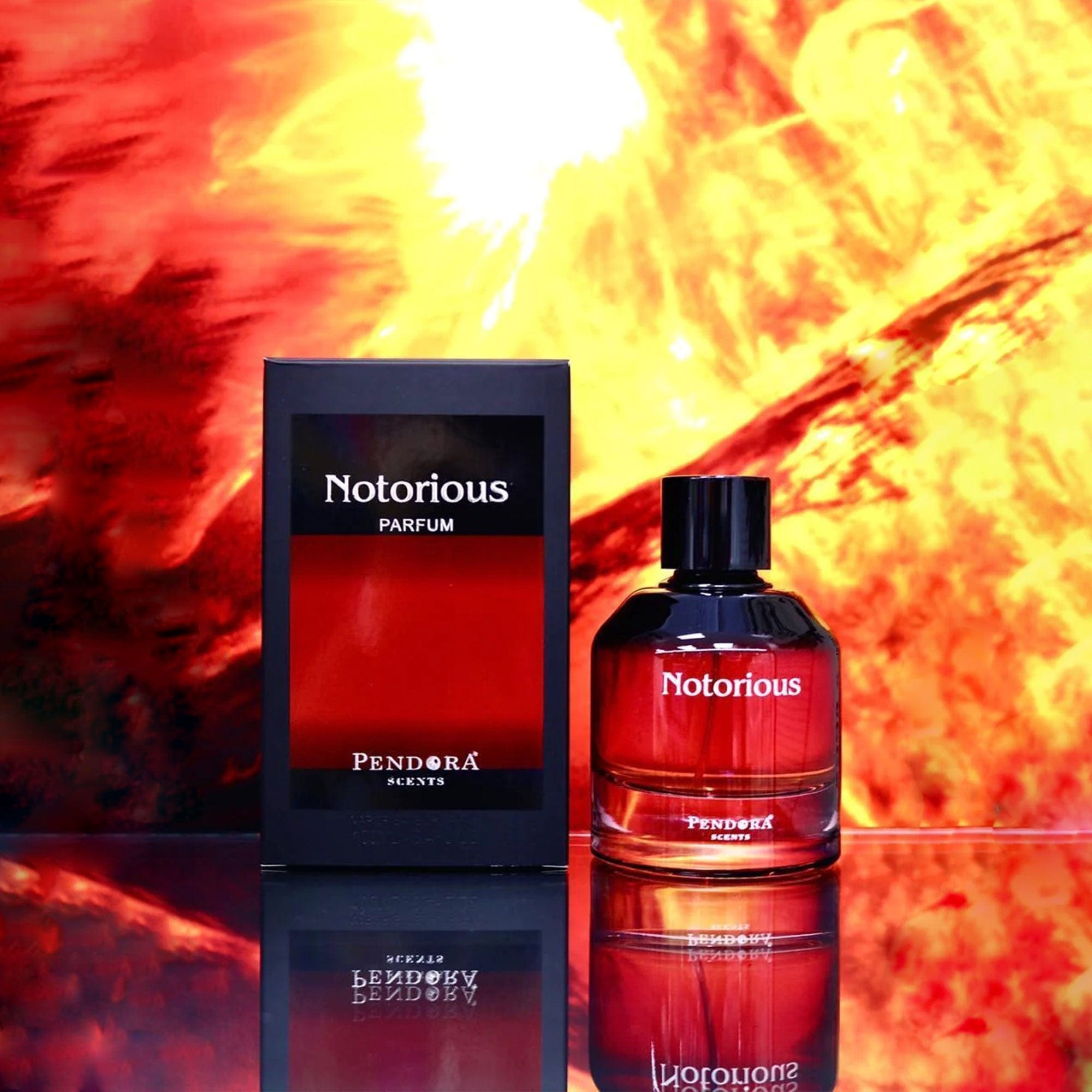 Arabian perfume Pendora Scents by Paris Corner Notorious 100ml Eau de parfum 307056