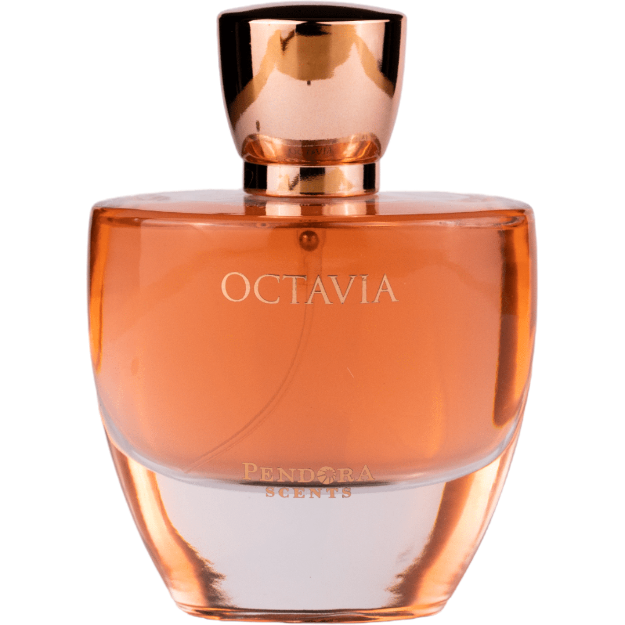 Arabian perfume Pendora Scents by Paris Corner Octavia 100ml Eau de parfum 307064