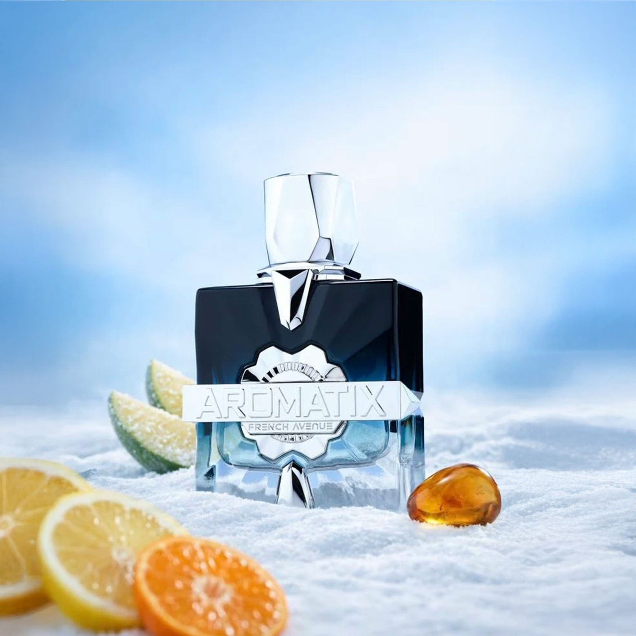 Aromatix Frostbite by French Avenue - Unisex Perfume - EDP - 100ml 310730