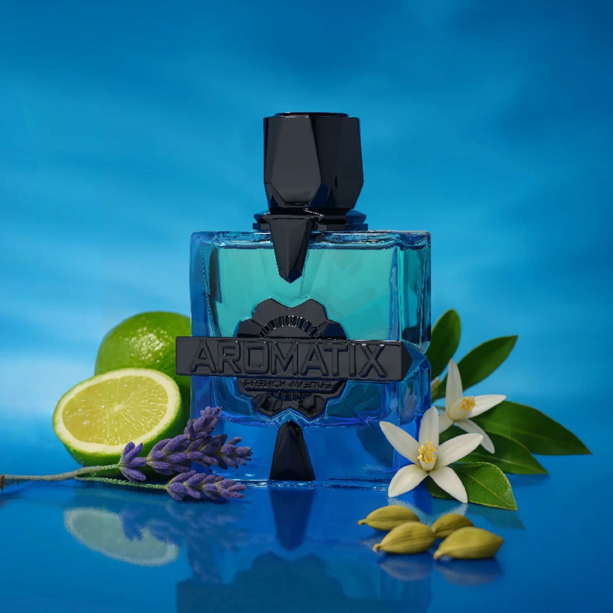 Aromatix Magnetiq Extrait de Parfum 100ml by French Avenue - Unisex Perfume - Extract de parfum - 100ml 310250