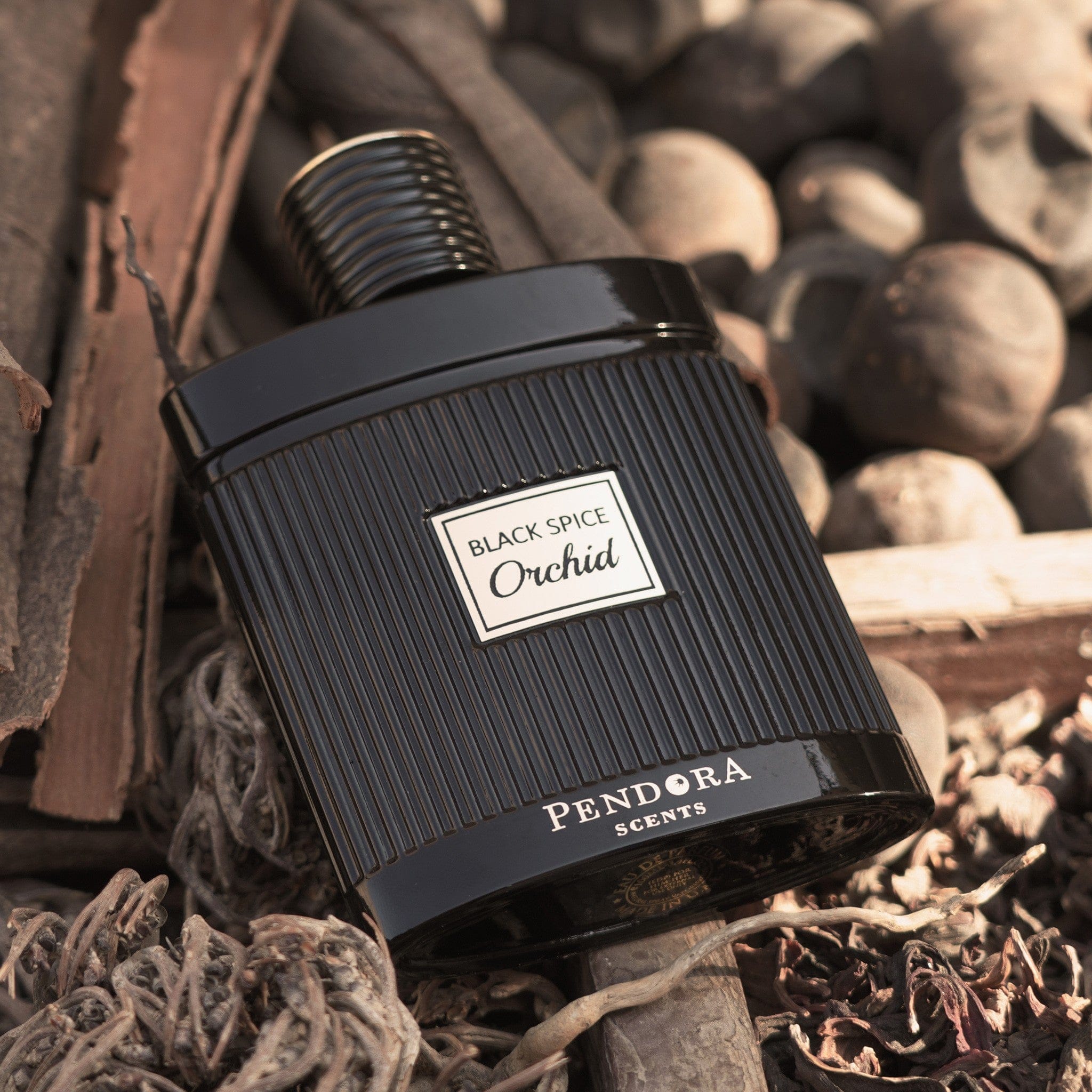 Black Spice Orchid by Pendora Scents - Unisex Perfume - EDP 100 ml 309407