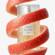Bois Blanc by Arabiyat Prestige - Unisex Perfume - EDP - 100 ml 311648