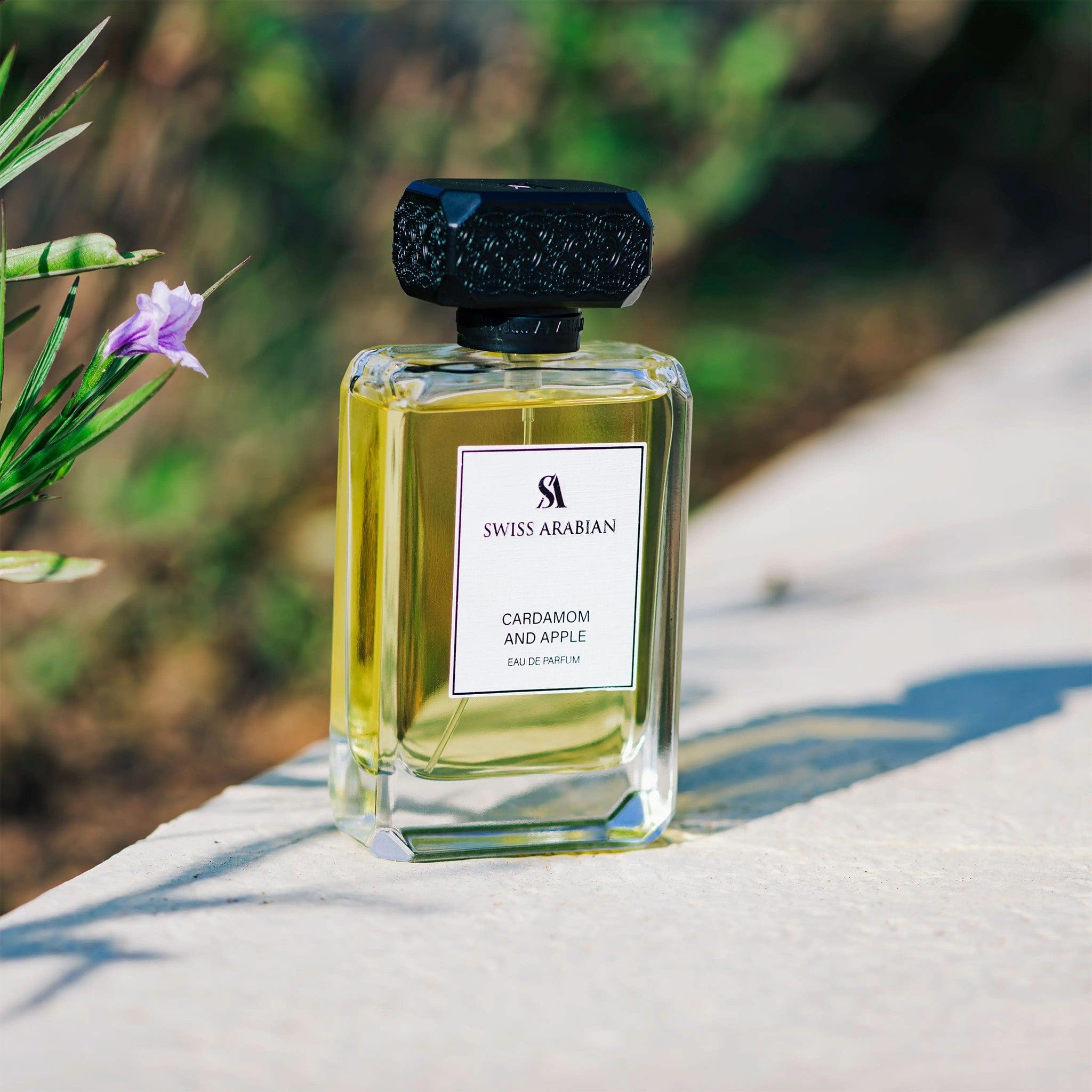 Cardamom and Apple Eau de Parfum 100ml by Swiss Arabian - Men Perfume - EDP - 100ml 310090