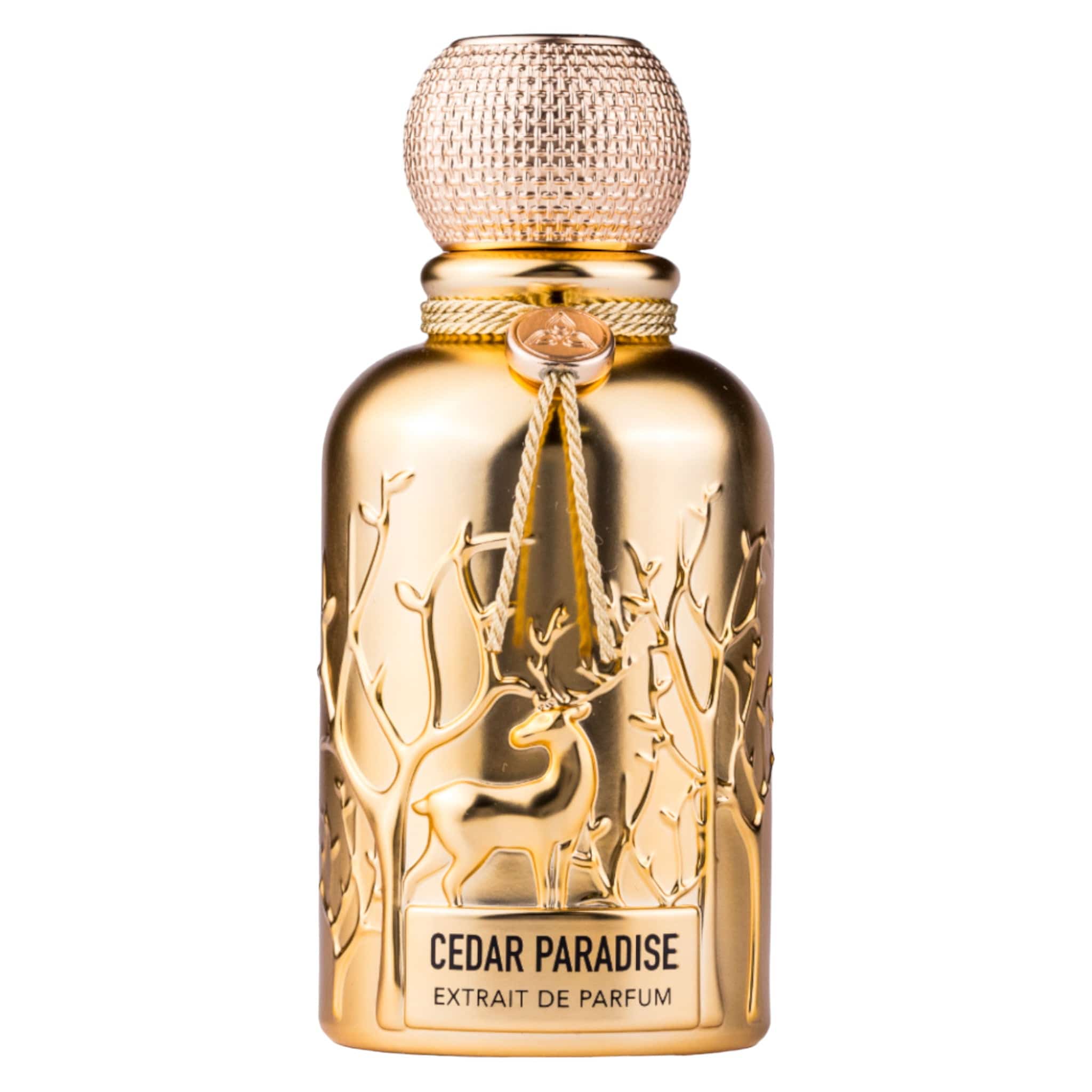 Cedar Paradise by Auraa Desire - Extrait de Perfume Men - 100 ml 308373