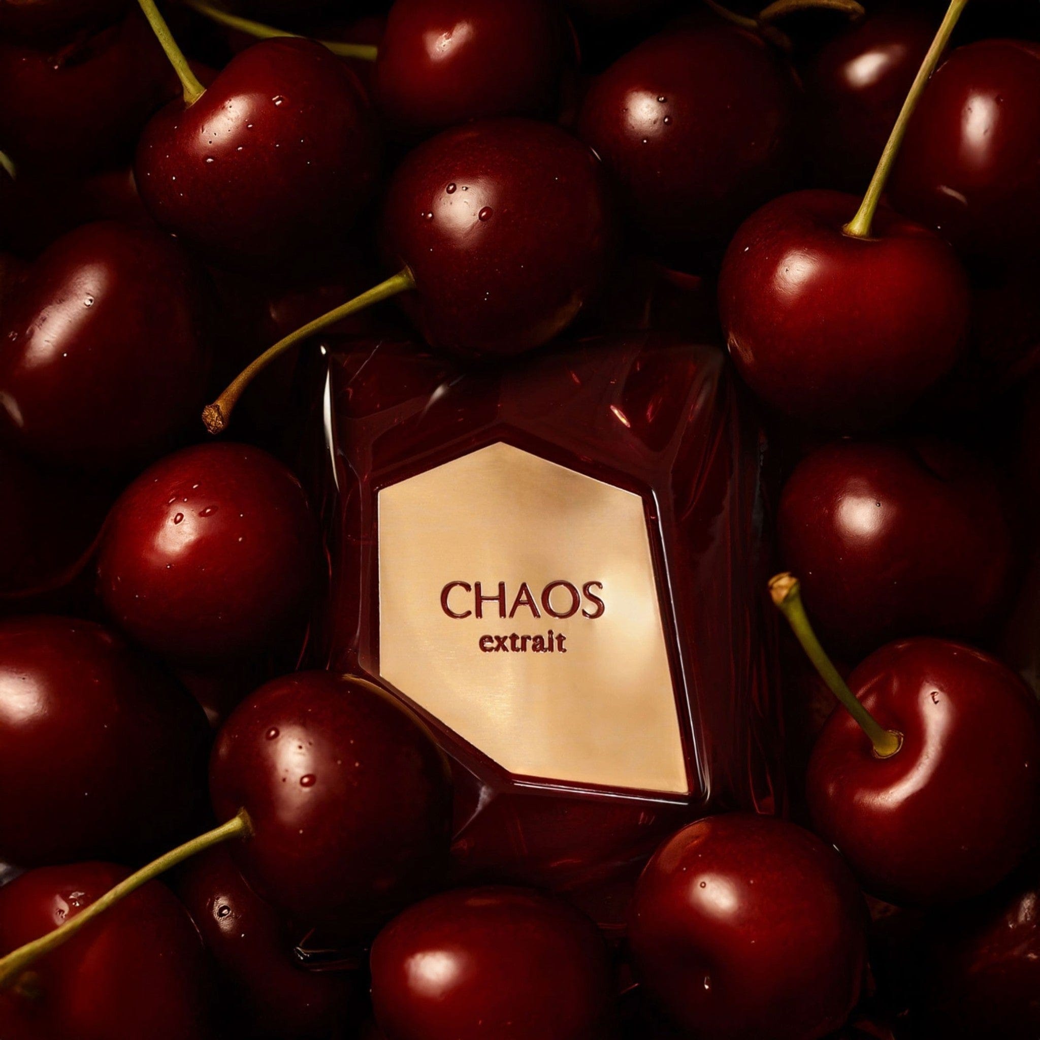 Chaos Extrait de Parfum 100ml by French Avenue - Unisex Perfume - Extract de parfum - 100ml 310246