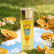 Ciao Citrus by Paris Corner - Unisex Perfume - EDP - 100 ml 311176