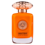 Destiny by Auraa Desire - Extrait de Perfume Men - 100 ml 308375