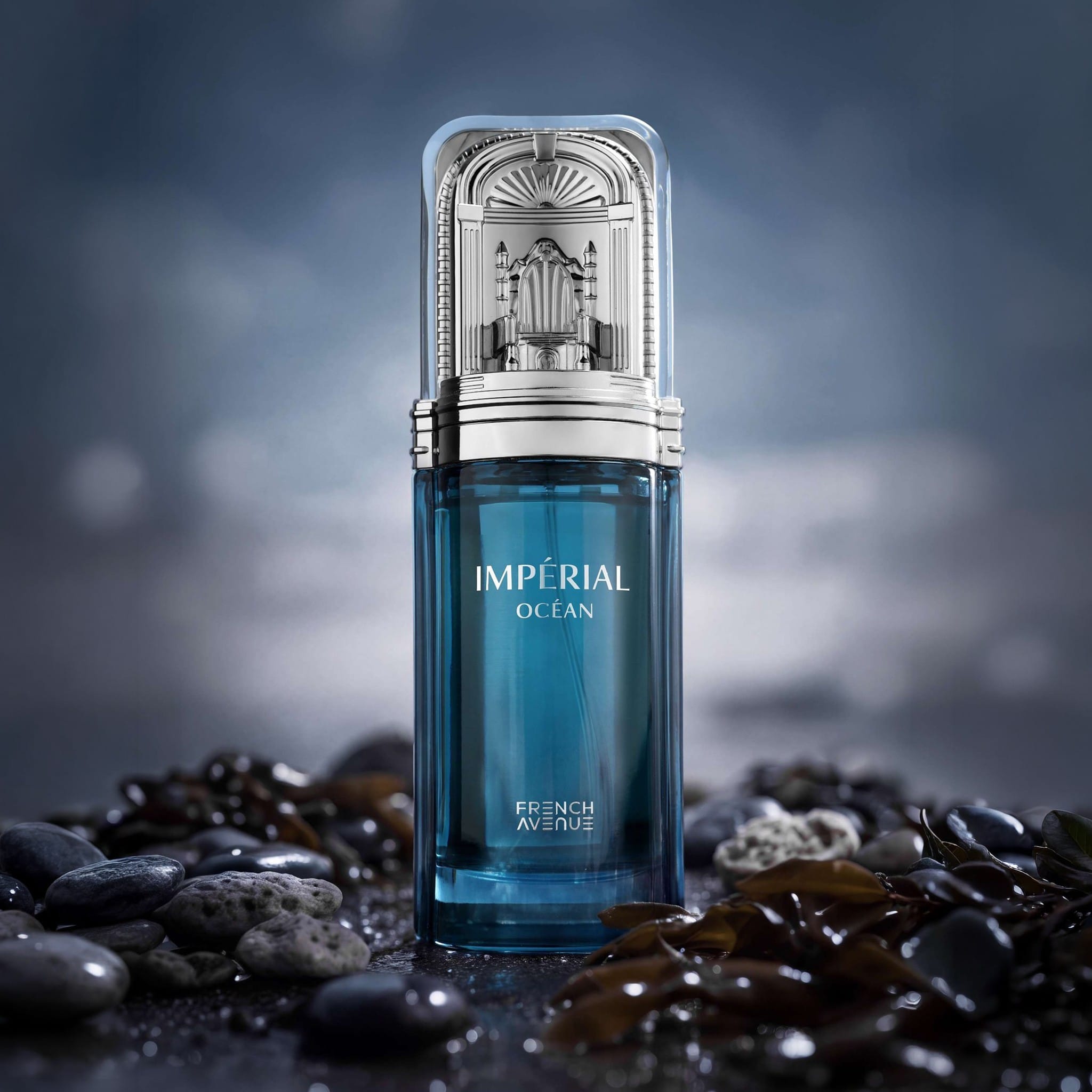 Imperial Ocean by French Avenue - Men Perfume - EDP - 100 ml 311519