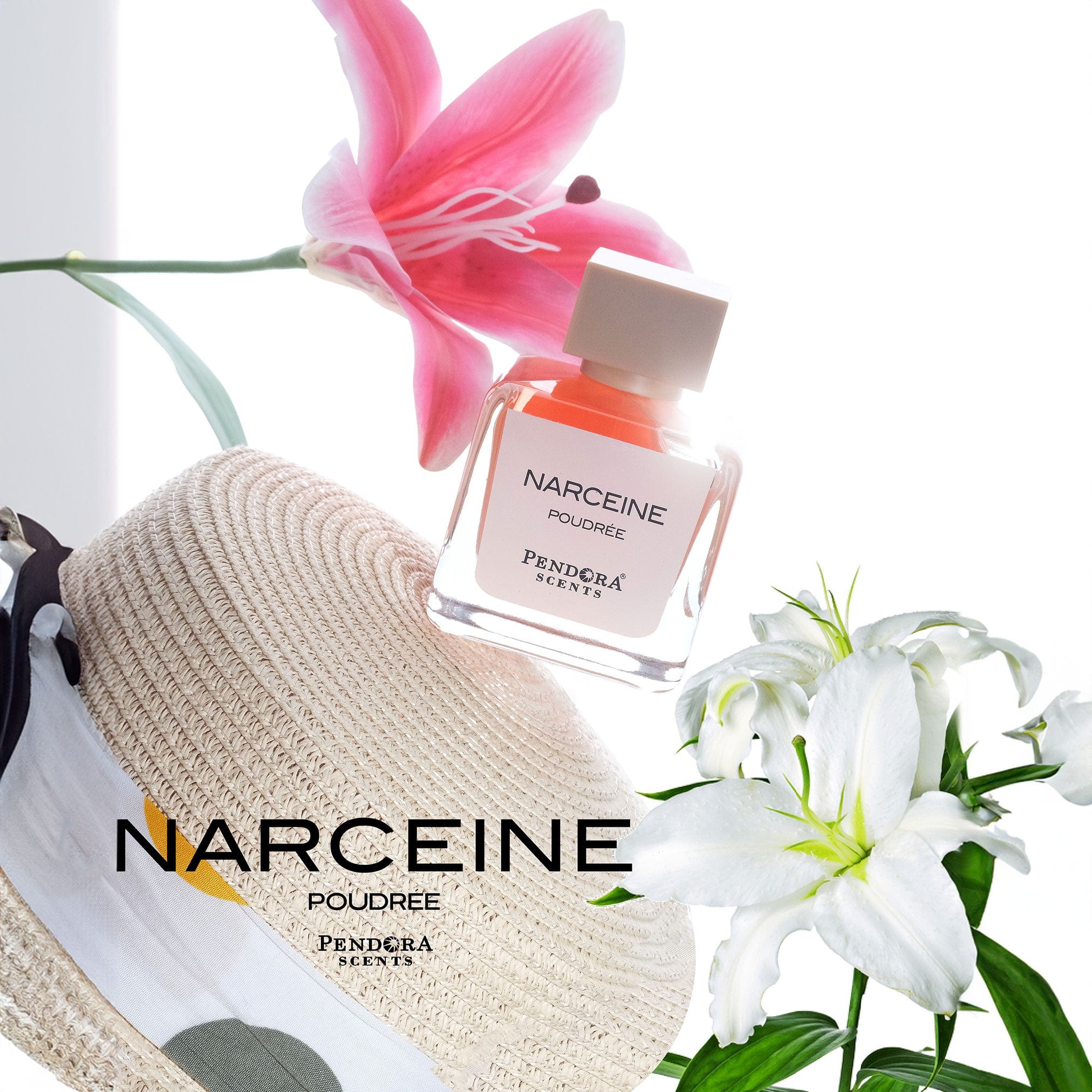 Narceine Poudree UNI EDP 100ml 307597