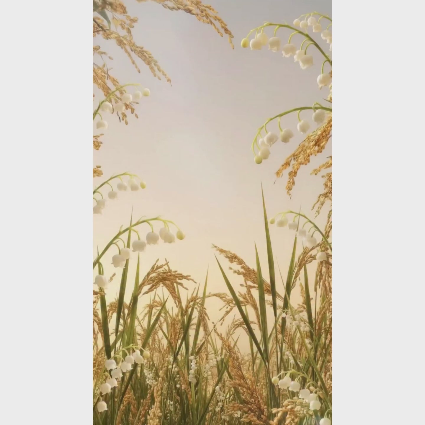 0ec56be8acb2440a8961a3f7e91b0ae8.thumbnail.0000000000.jpg