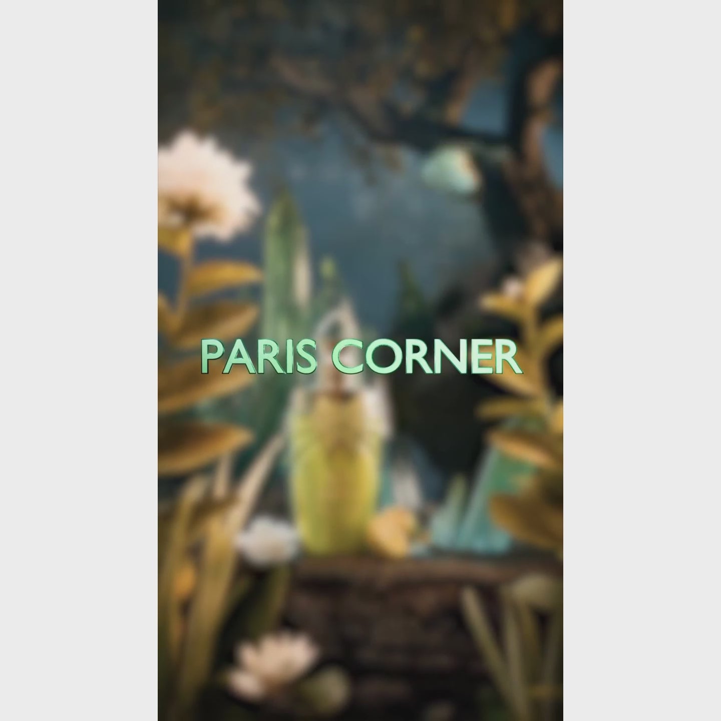 Jardin Des Papillons by Paris Corner - Women Perfume - EDP 100 ml