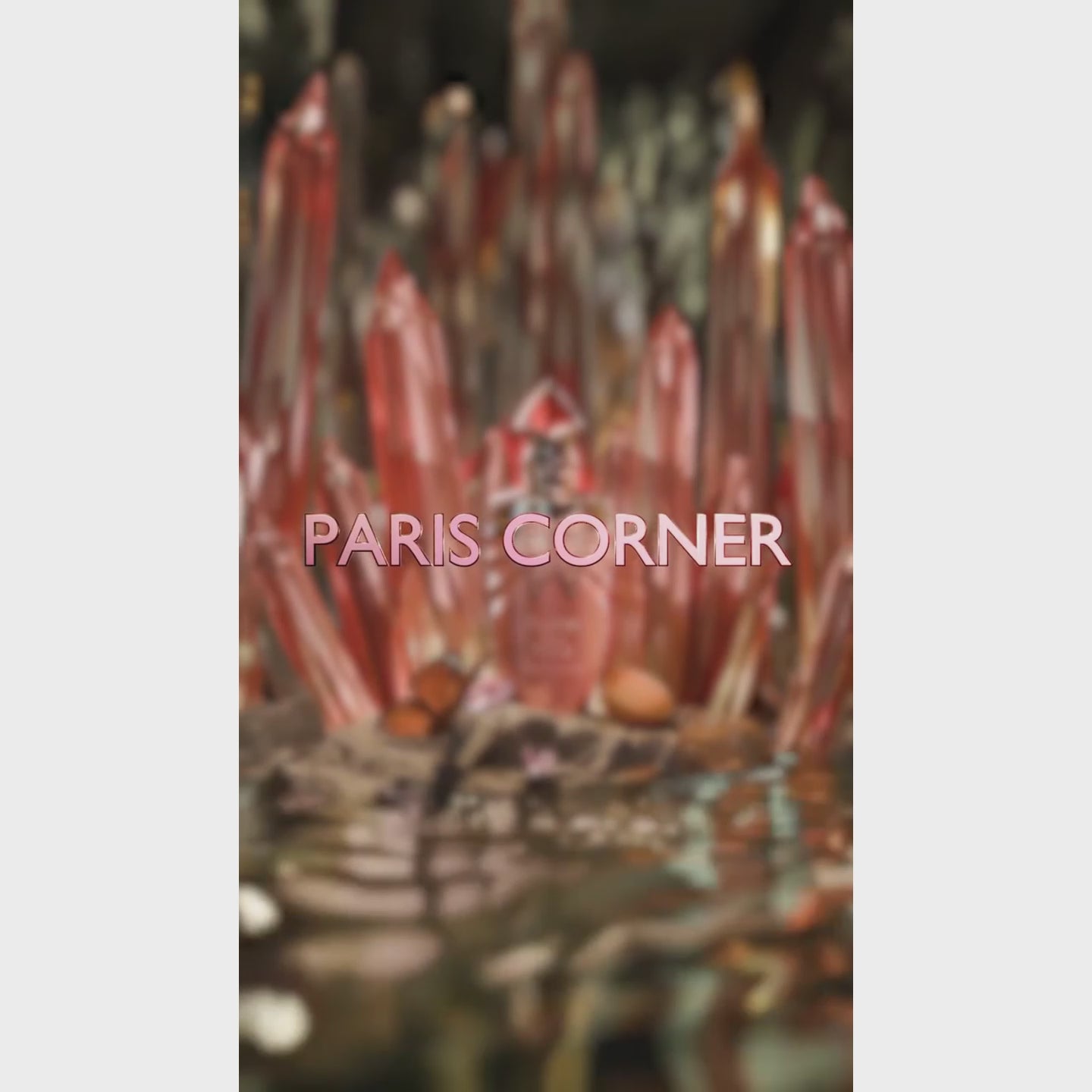 Papillon Des Vents by Paris Corner - Women Perfume - EDP 100 ml