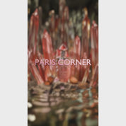Papillon Des Vents by Paris Corner - Women Perfume - EDP 100 ml