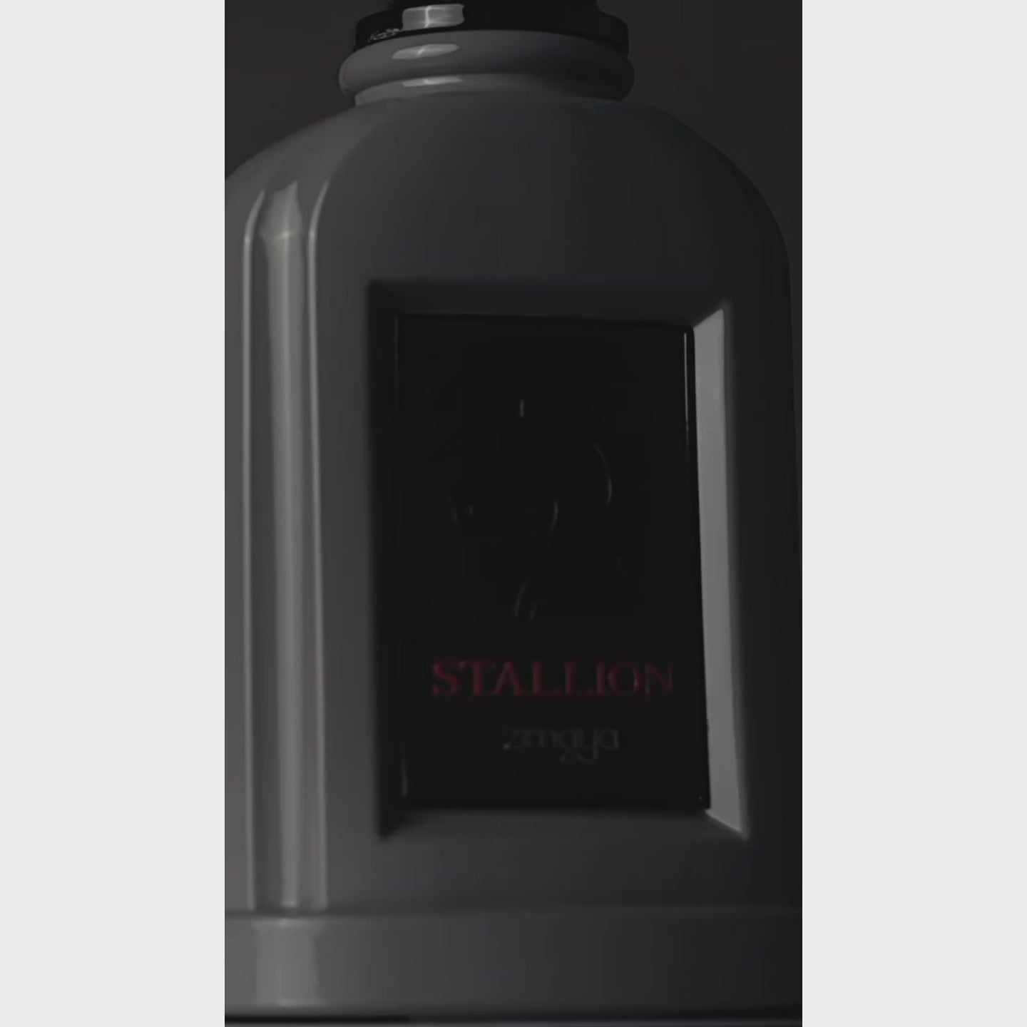 Stallion by Zimaya - Men Perfume - EDP 100 ml