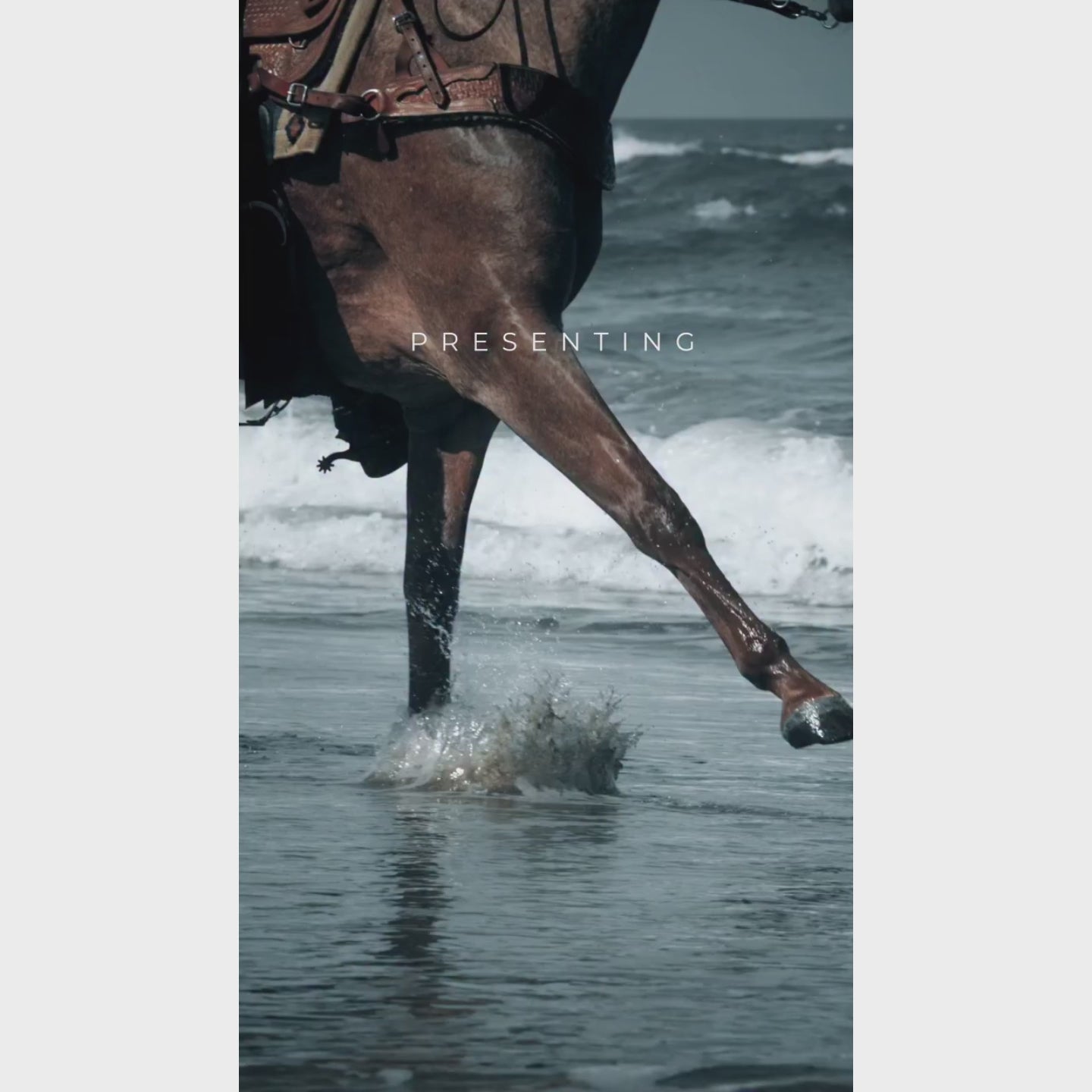 Zayaan Gold Eau de Parfum 100ml by Khadlaj - Men Perfume - EDP - 100ml