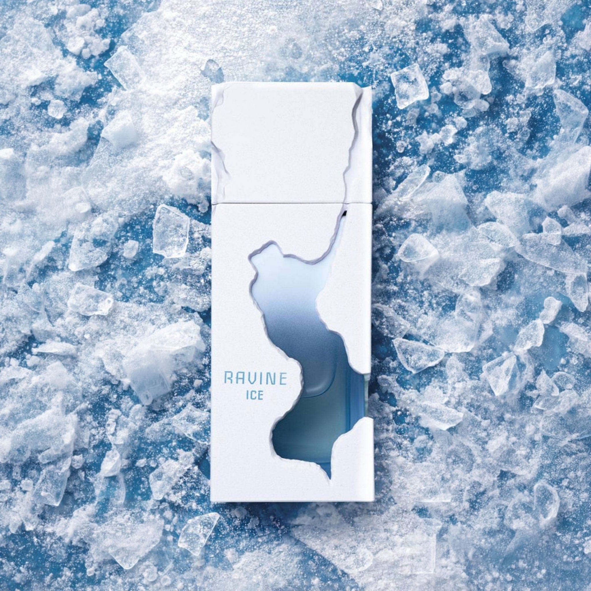 Ravine Ice by French Avenue - Unisex Perfume - EDP - 100 ml 310789