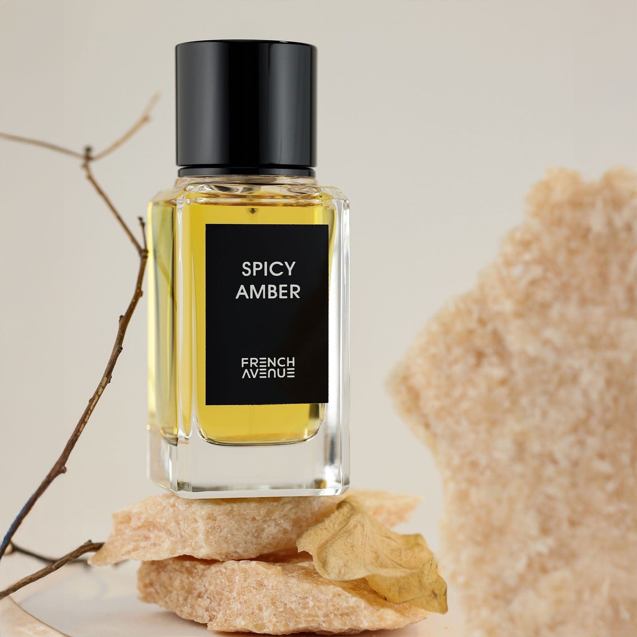 Spicy Amber Eau de parfum 100ml by French Avenue - Unisex Perfume - EDP - 100ml 309550