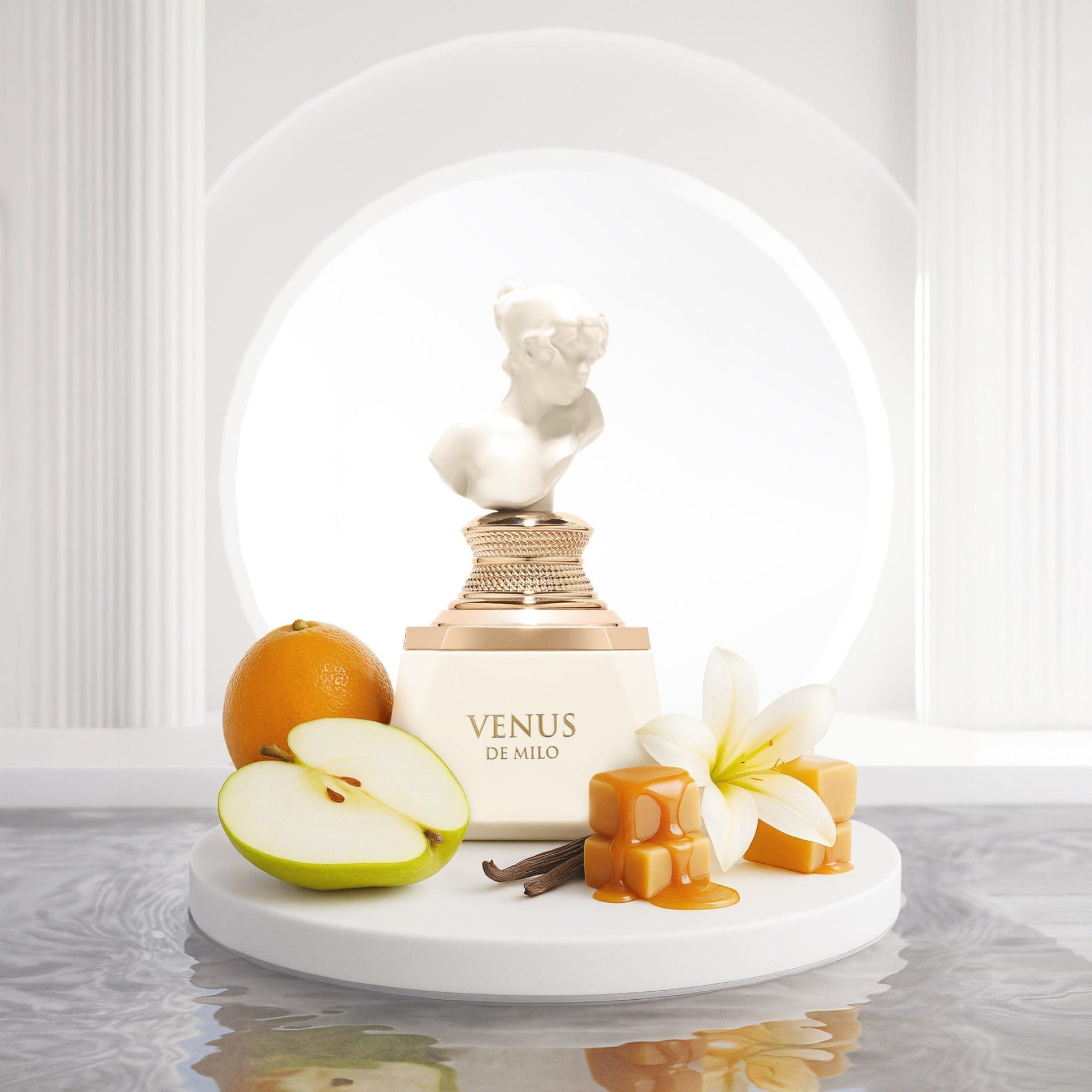 Venus De Milo Eau de Parfum 100ml by French Avenue - Women Perfume - EDP - 100ml 310349