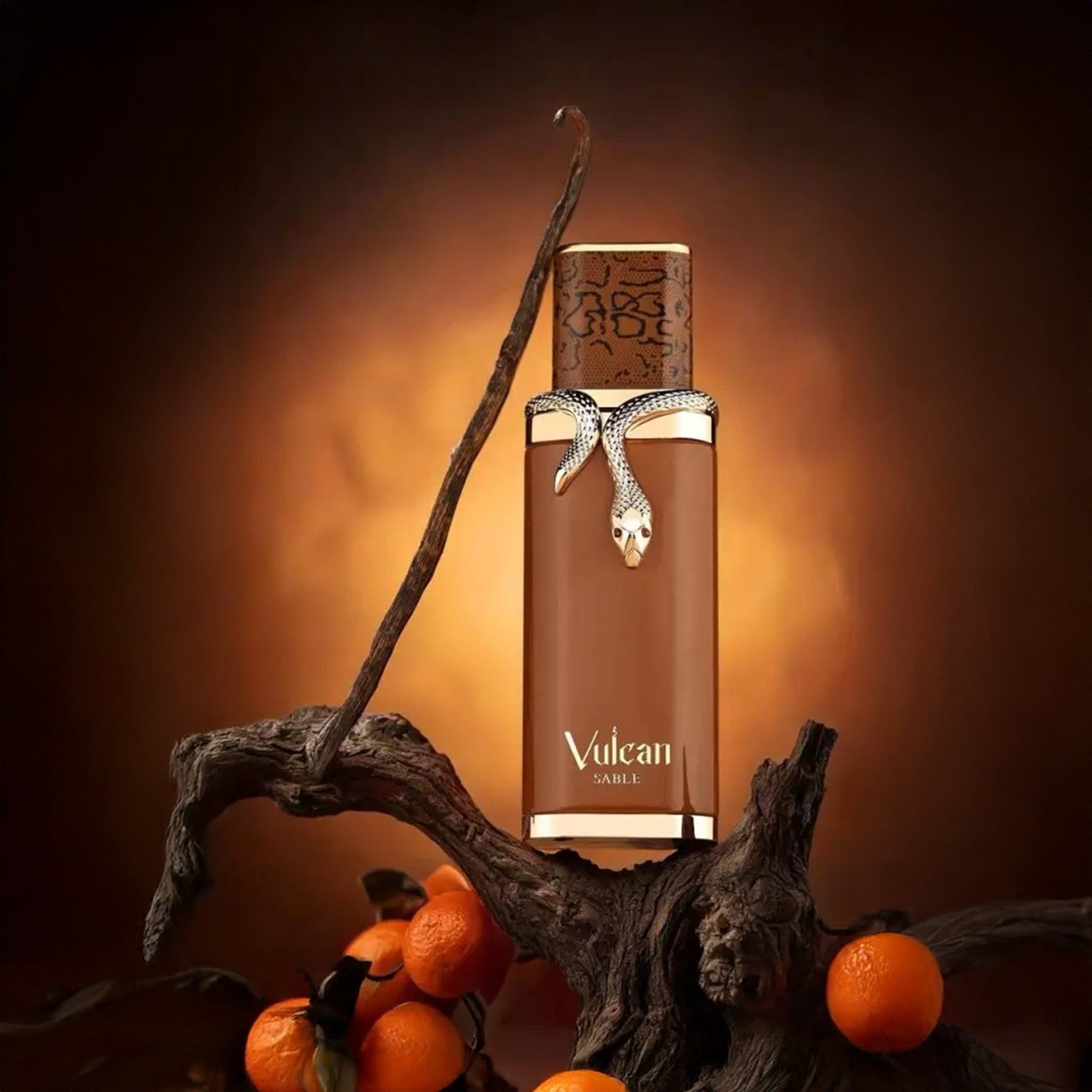 Vulcan Sable Eau de Parfum 100ml by French Avenue - Unisex Perfume - EDP - 100ml 310116